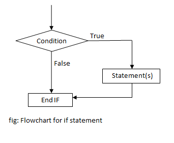 If Statement in C